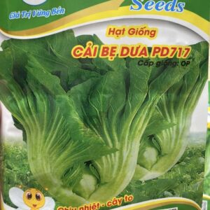 大葉高菜の種　20gr