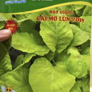 からし菜 (MO LUN) 20gr