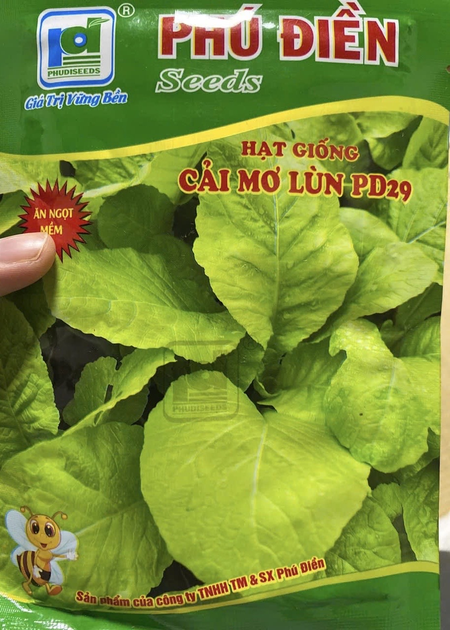 からし菜 (MO LUN) 20gr