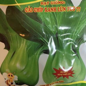 チンゲン菜の種 20gr