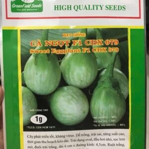 タイ甘ナスの種 1g