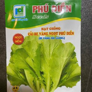 黄からし菜の種 20gr