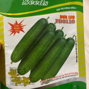 タイ国のキュリの種　1gr